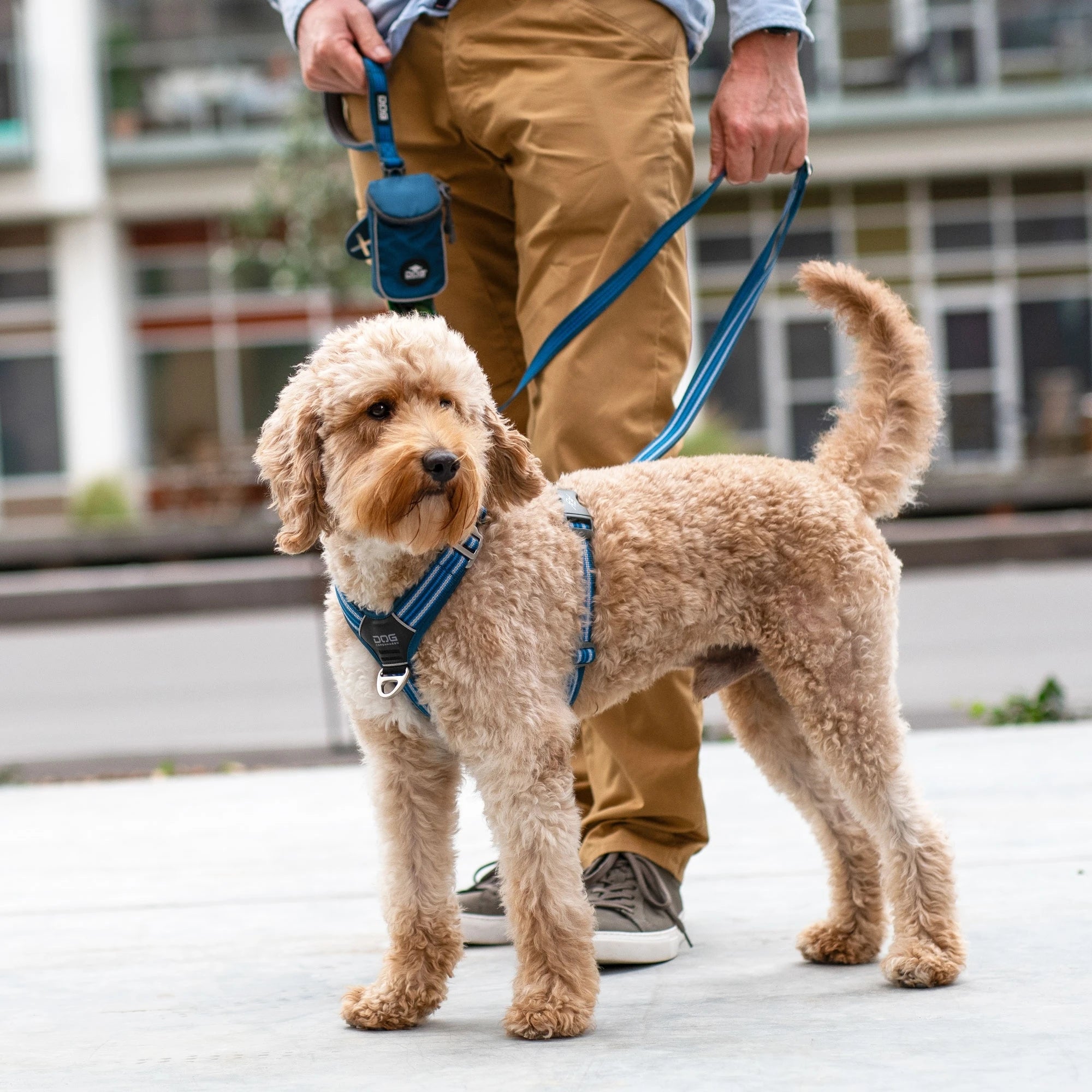 Dog Copenhagen Comfort Walk Air Harness Ocean Blue