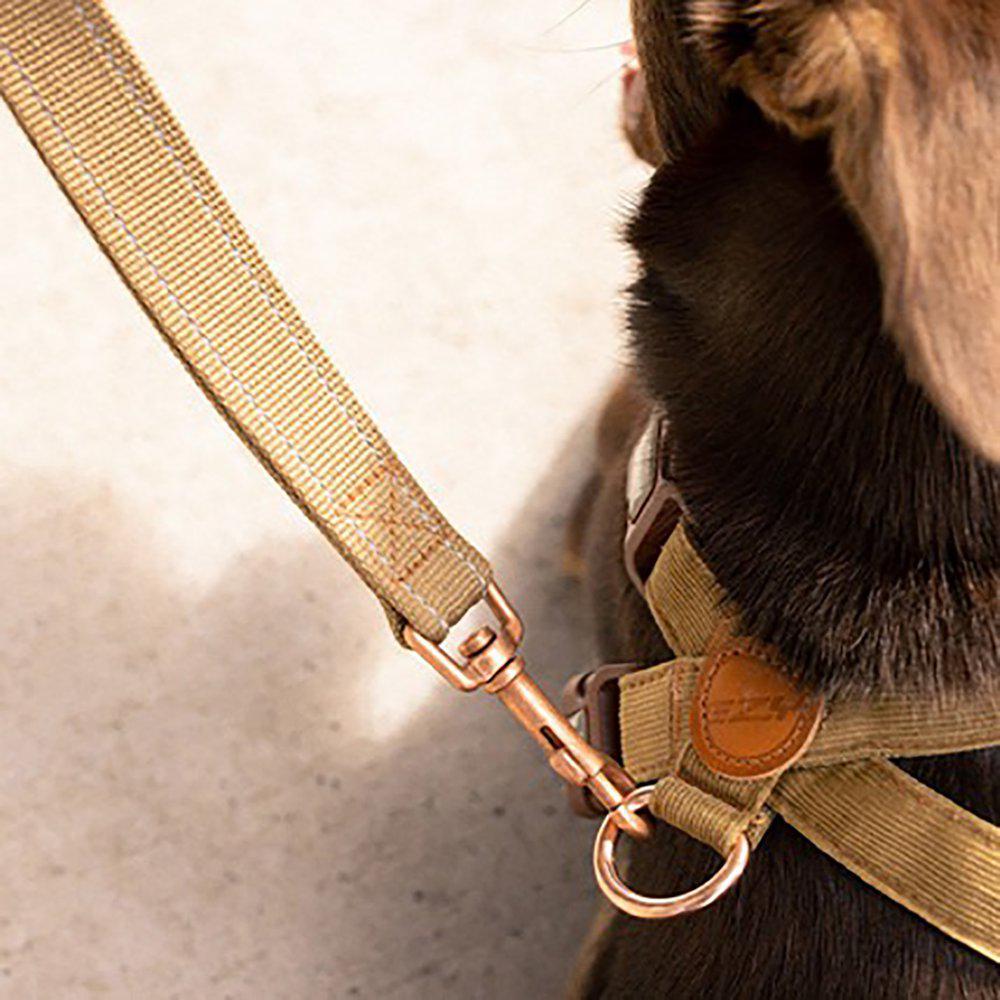 Ezydog Sele Corduroy