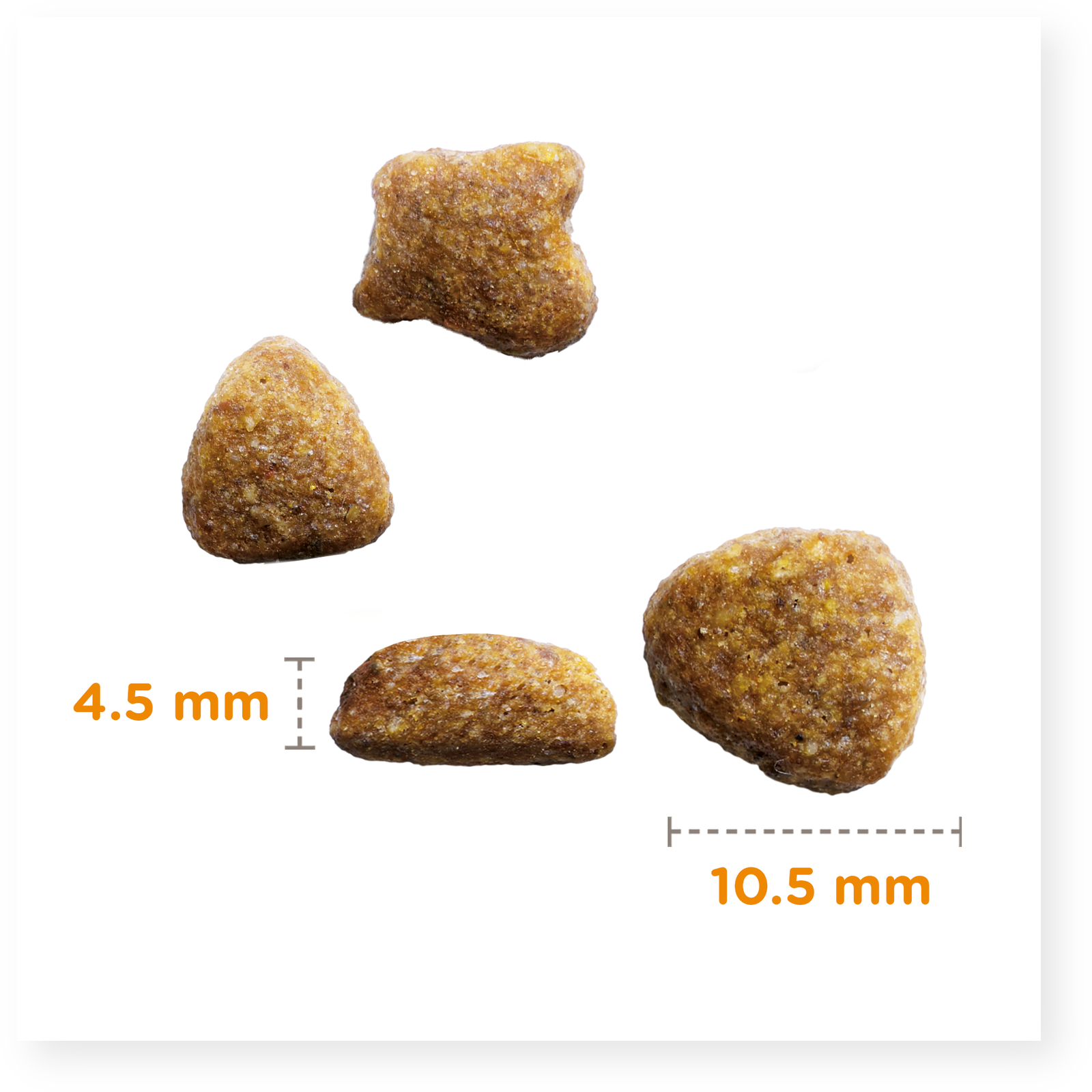 Iams Cat Adult Lamb