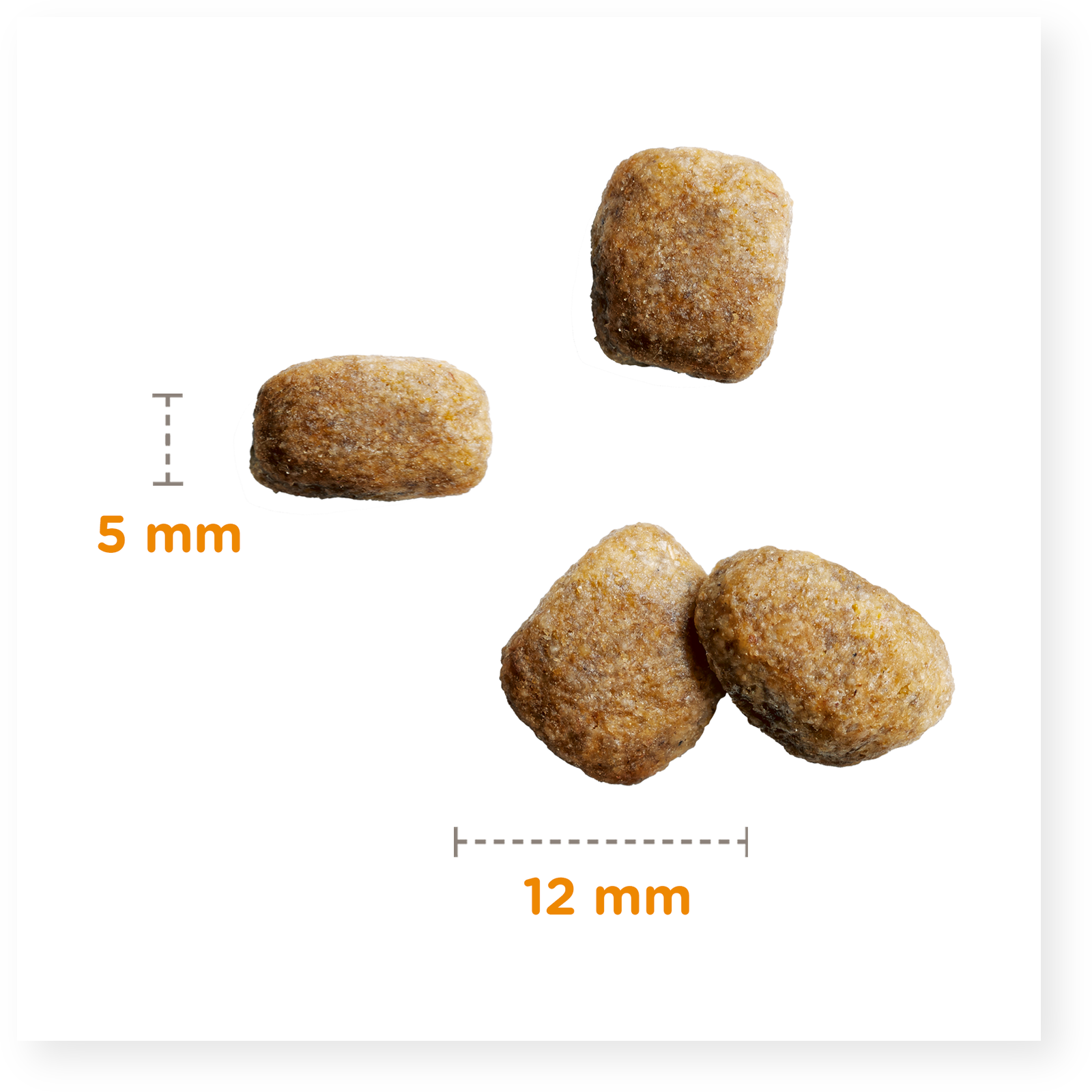 Iams Dog Senior Small & Medium