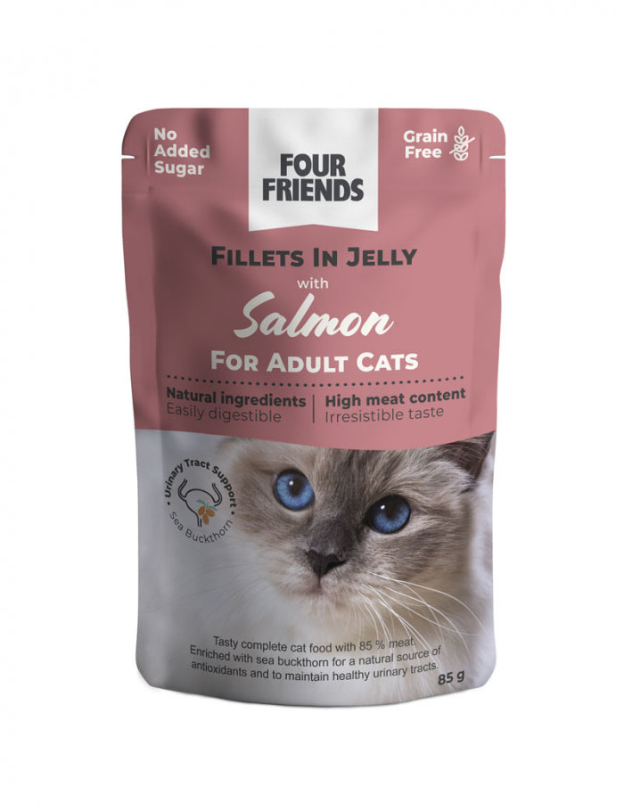 FourFriends Adult Salmon in Jelly Pouch 85g