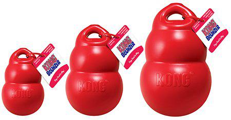 Kong Bounzer M