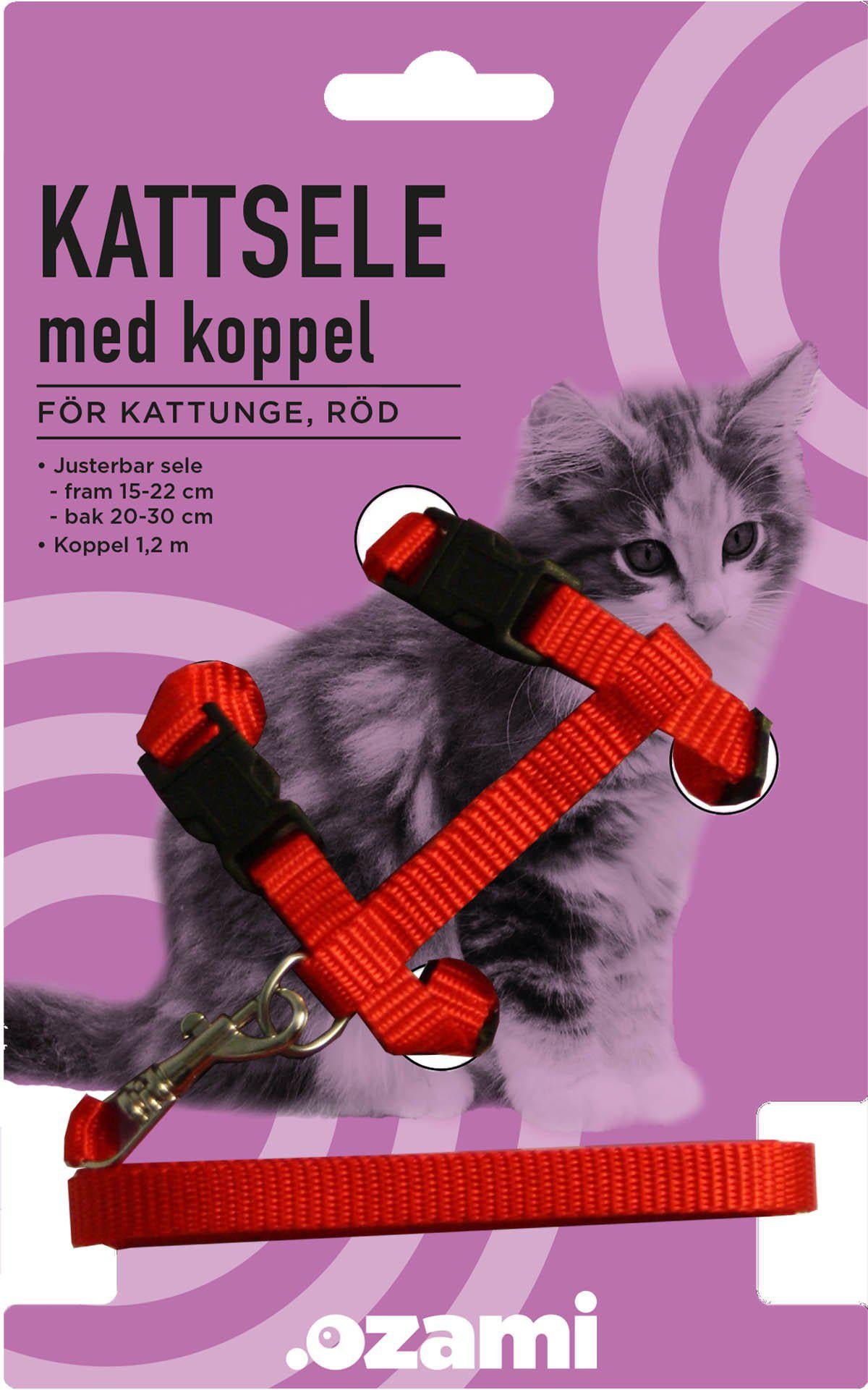 Kattsele Med Koppelkattunge Röd