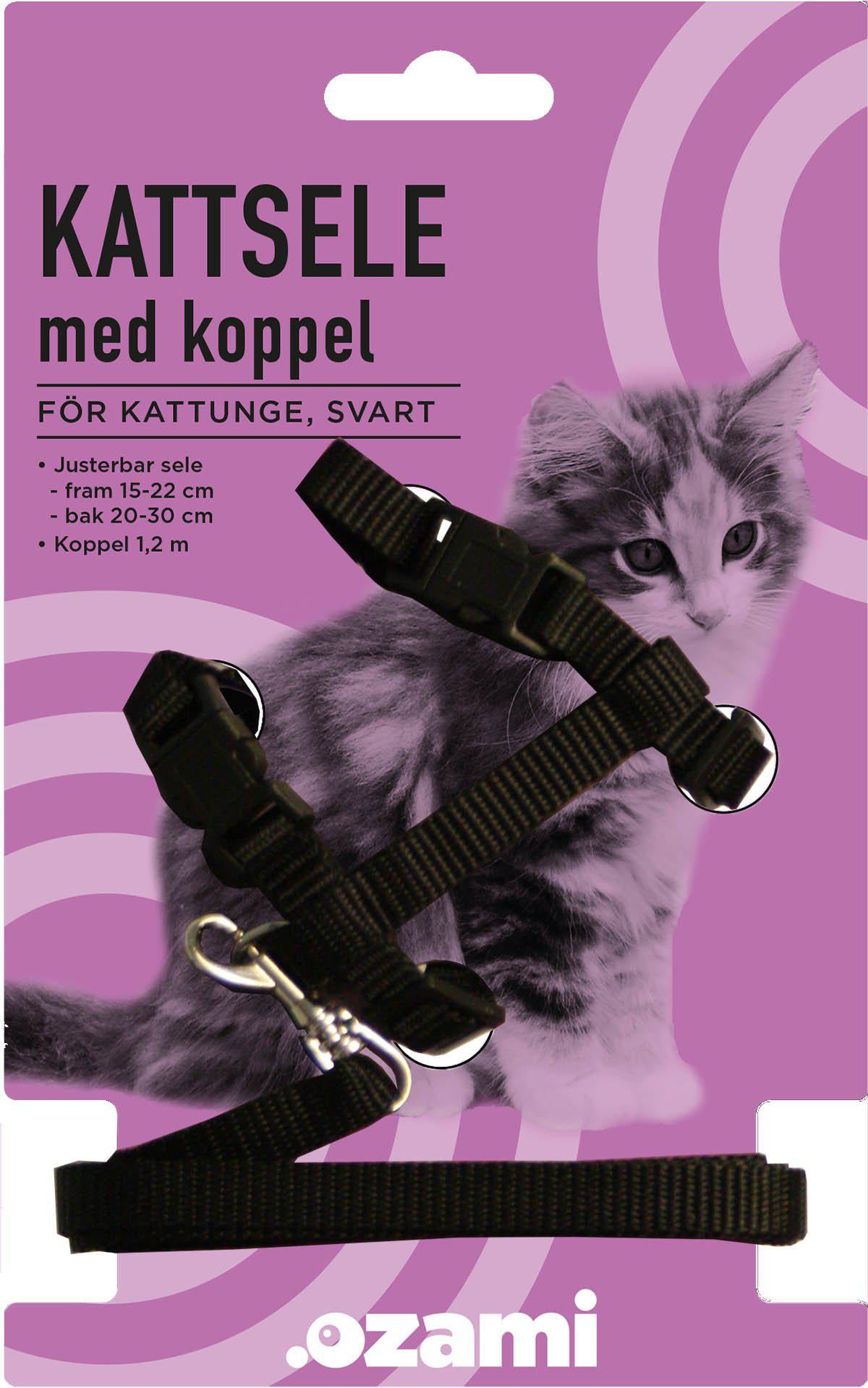 Kattsele Med Koppelkattunge Svart