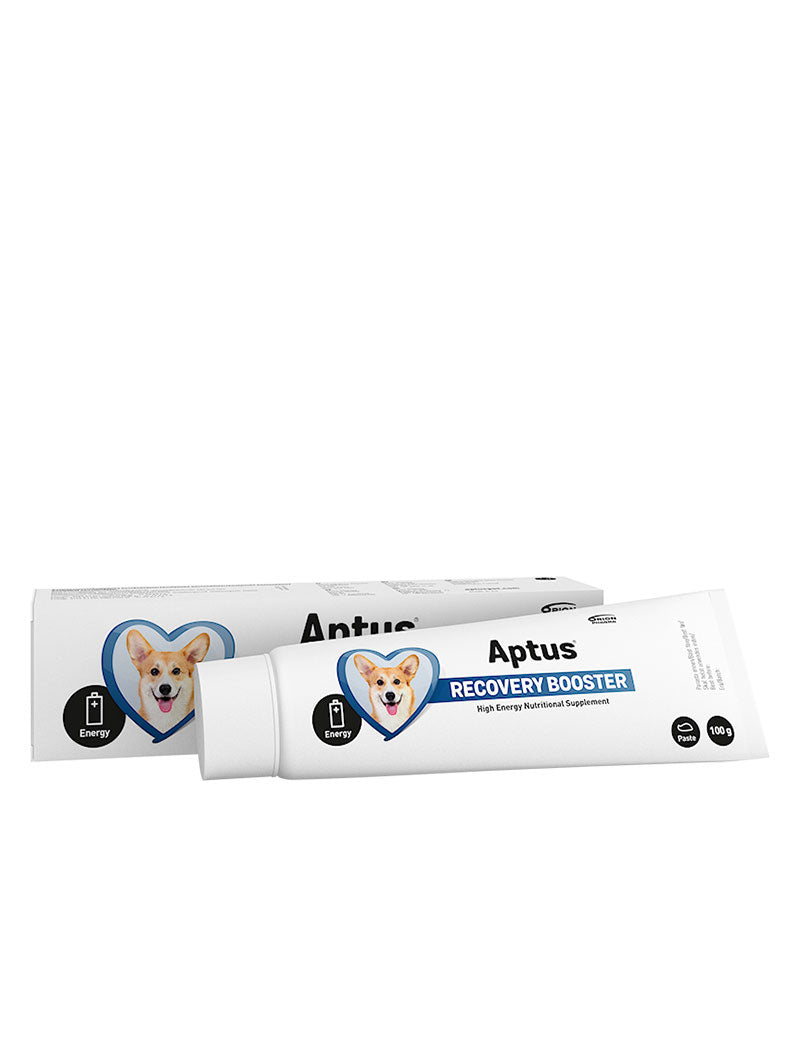 Aptus Recovery Booster Dog 100 g