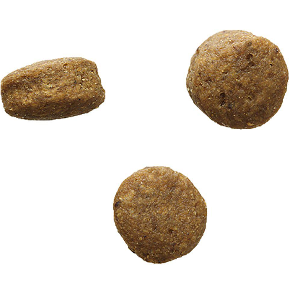 Bozita Grainfree Mother & Puppy Xl Älg 2kg