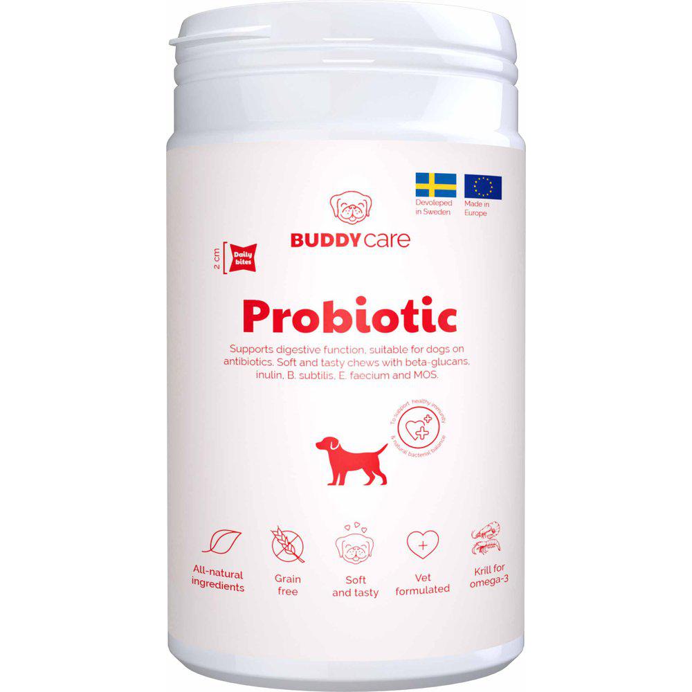 Buddycare Probiotic