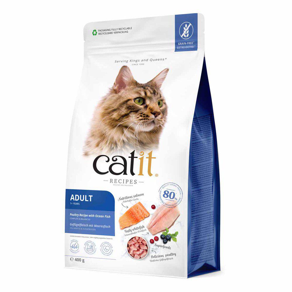 Catit Recipies Dry Adult Fish 400g