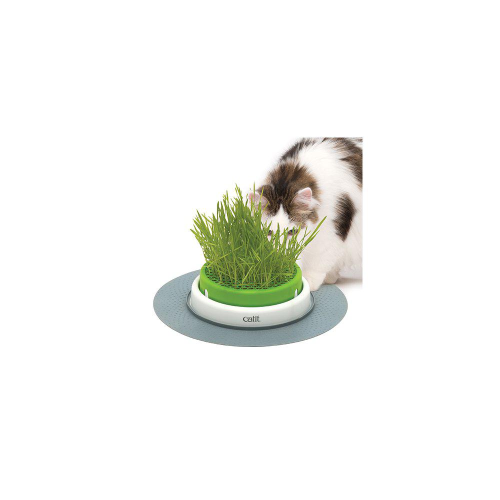 Catit Senses 2.0 Grass Planter