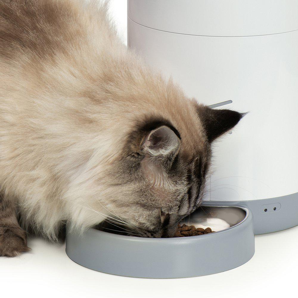 Catiti Pixi Smart Feeder Foderautomat