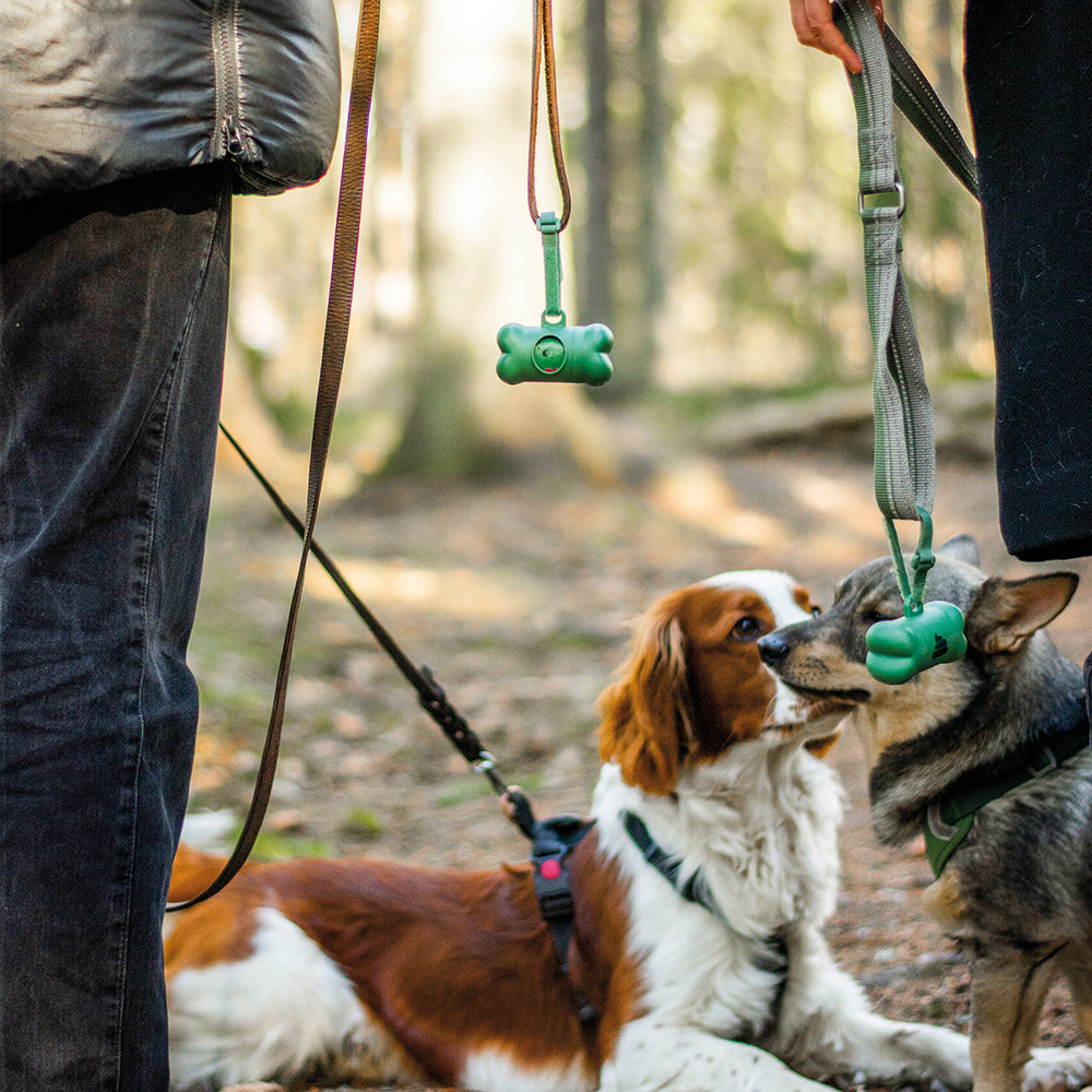 Green Bone Wild Lavender - Hundbajspåsar En hållare, 15 påsar