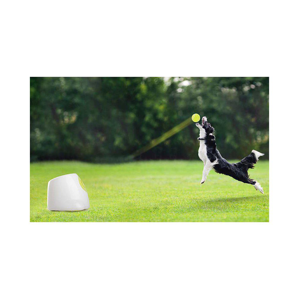 All For Paws Hundleksak Hyper Fetch Maxi Bollkastare