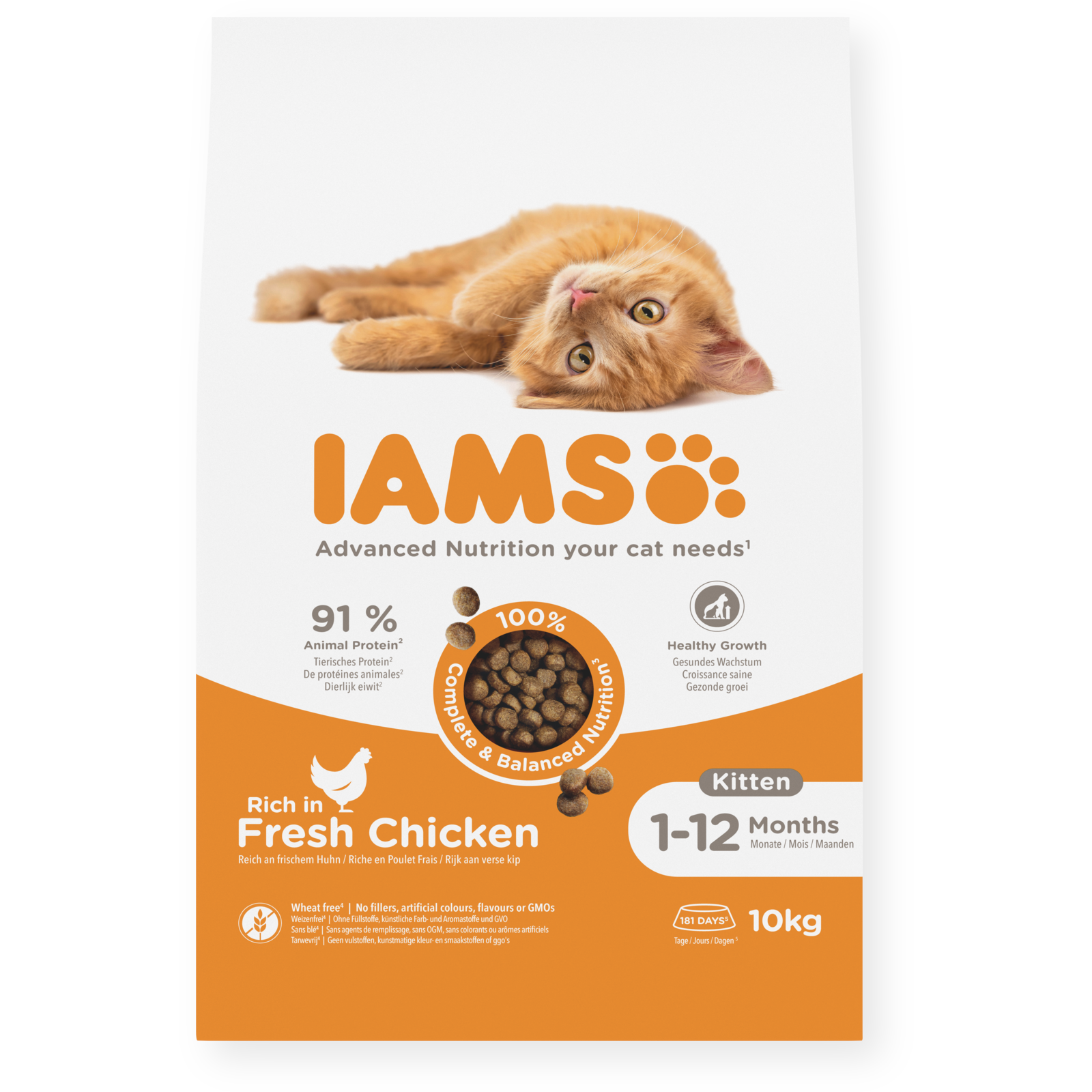 Iams Cat Kitten 10 kg