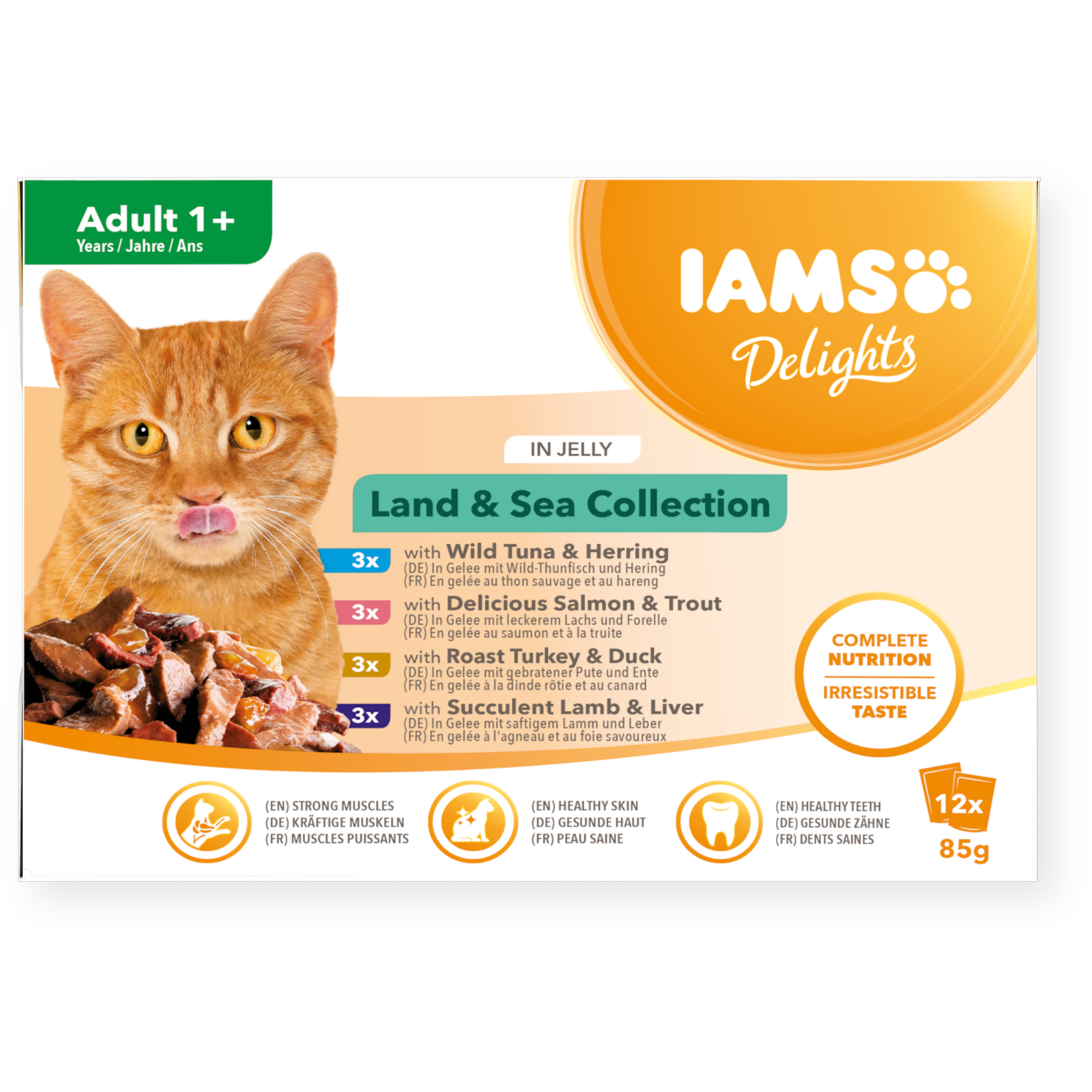 Iams Delights Jelly Multipack Land & Sea 12x85g