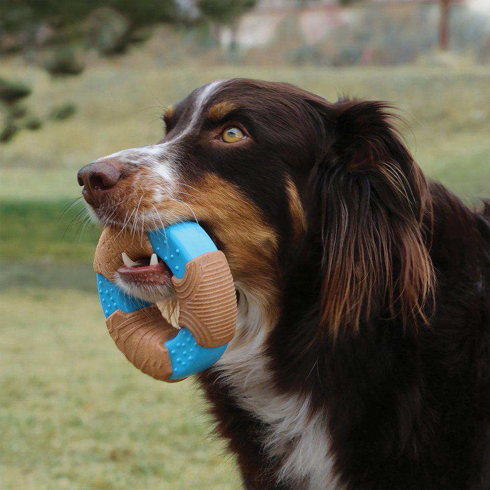 Kong Corestrength Bamboo Bone L