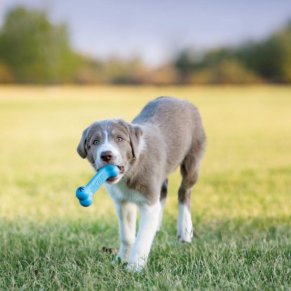 Kong Puppy Goodie Bone S