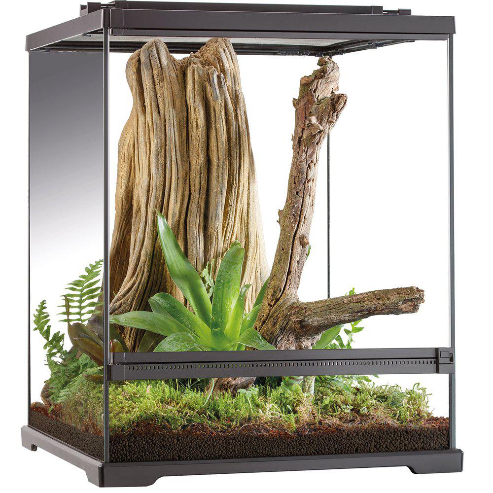 Terrarium Exoterra Tree Frog 45x45x60cm small/tall